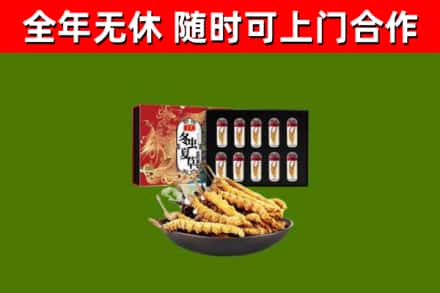 安宁回收冬虫夏草价格